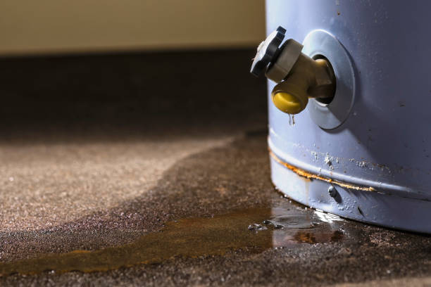 Best Commercial water damage restoration  in Lonsdale, MN