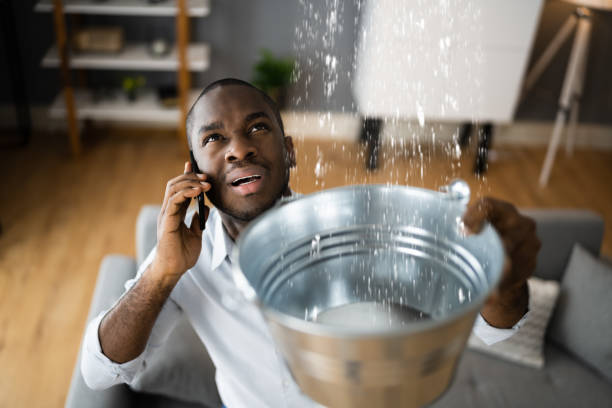 Best Flooded house restoration  in Lonsdale, MN