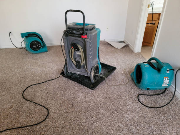 Best Mold removal after water damage  in Lonsdale, MN