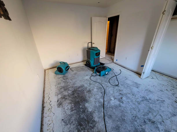 Best Carpet water damage restoration  in Lonsdale, MN