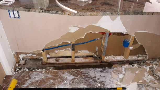 Best Water damage restoration near me  in Lonsdale, MN